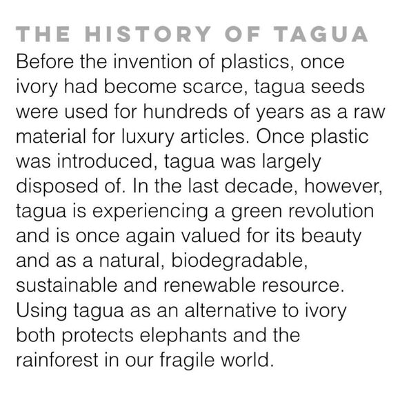 Organic tagua turquoise earrings. New with tags - Picture 4 of 4